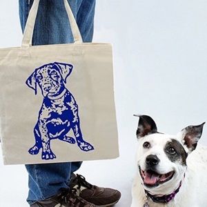 Featuring Chocolate, an adorable Labdrador puppy!